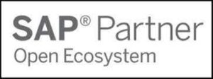 SAP Partner