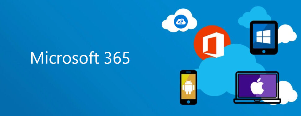 office 365